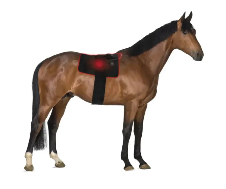 Equine Infrared RLT FULL BACK / HQ Pad 1724 Medical Grade 3-in1 LEDs 650nm 880nm Irradiance: 120w/cm2