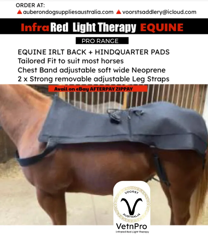 Equine Infrared RLT FULL BACK / HQ Pad 1724 Medical Grade 3-in1 LEDs 650nm 880nm Irradiance: 120w/cm2