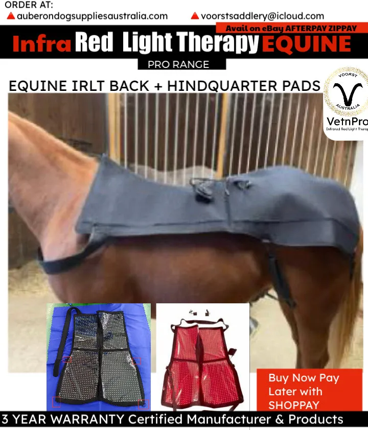 Equine Infrared RLT FULL BACK / HQ Pad 1724 Medical Grade 3-in1 LEDs 650nm 880nm Irradiance: 120w/cm2