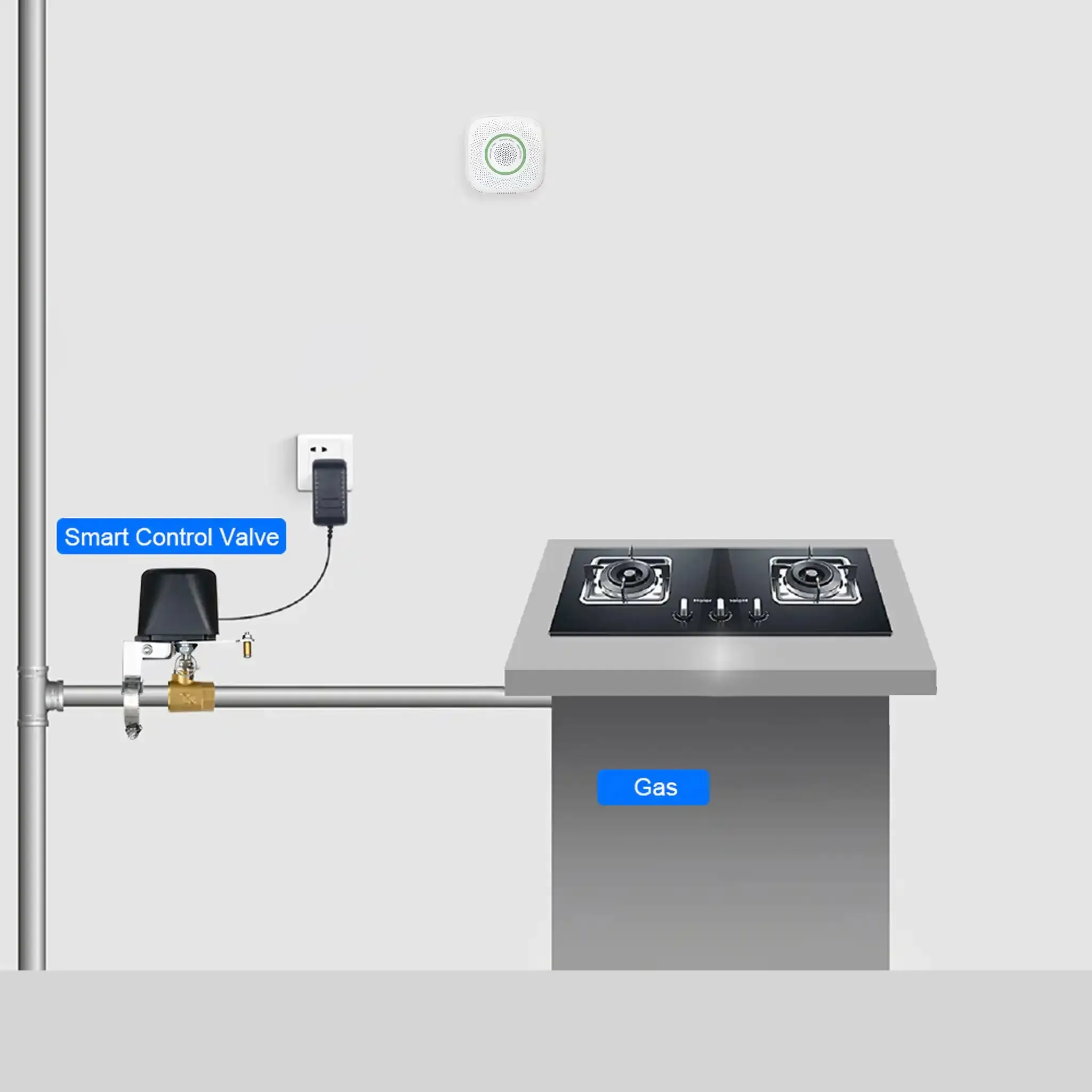 Valve Controller With Gas Sensor